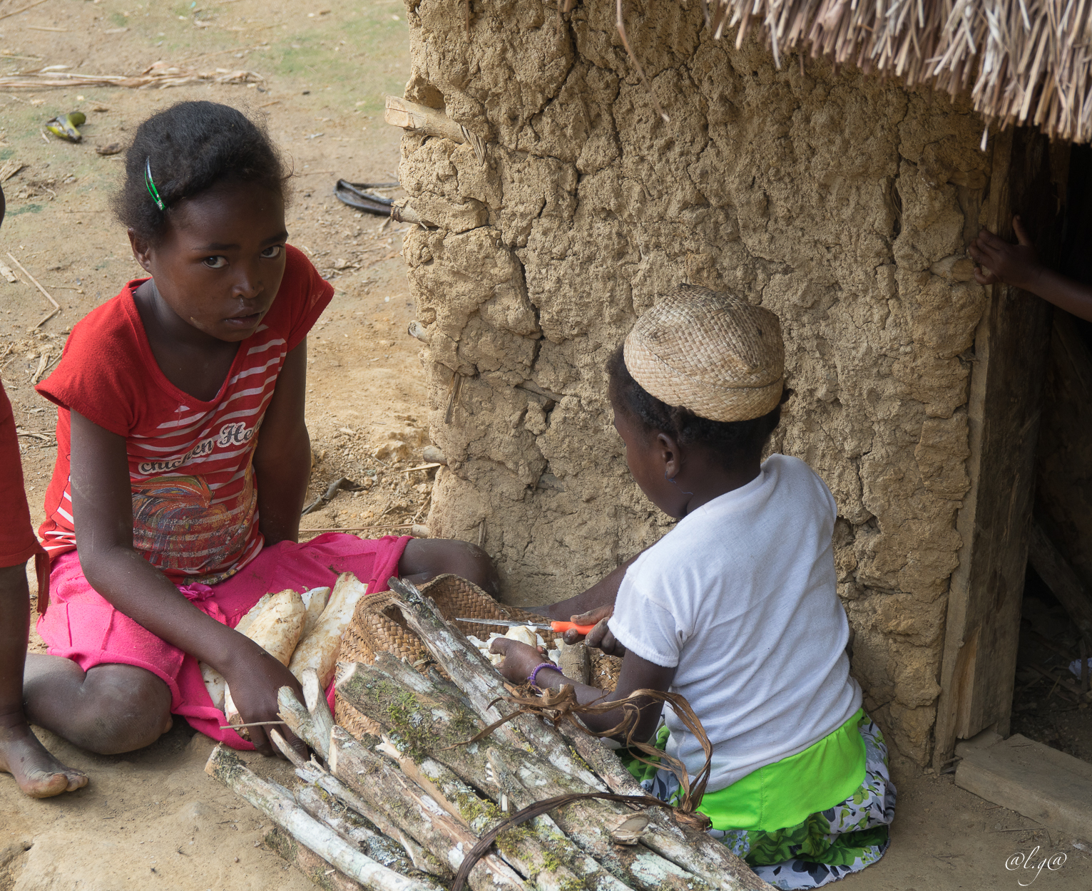 Découpe du manioc par les enfants