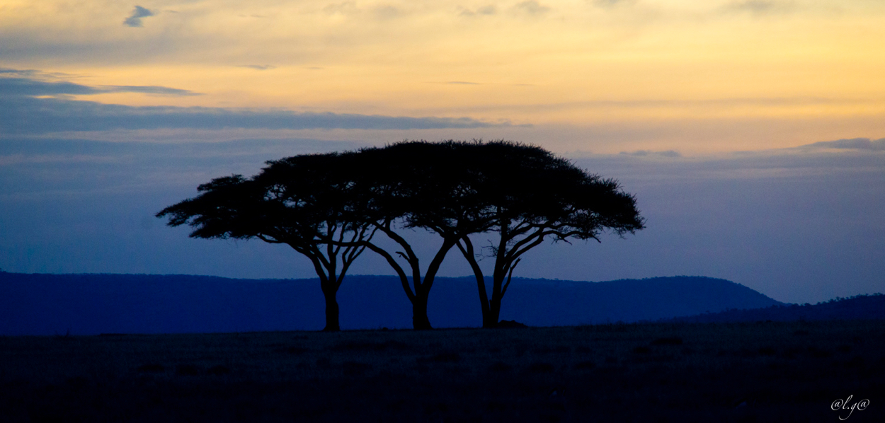 Le Parc du Serengeti