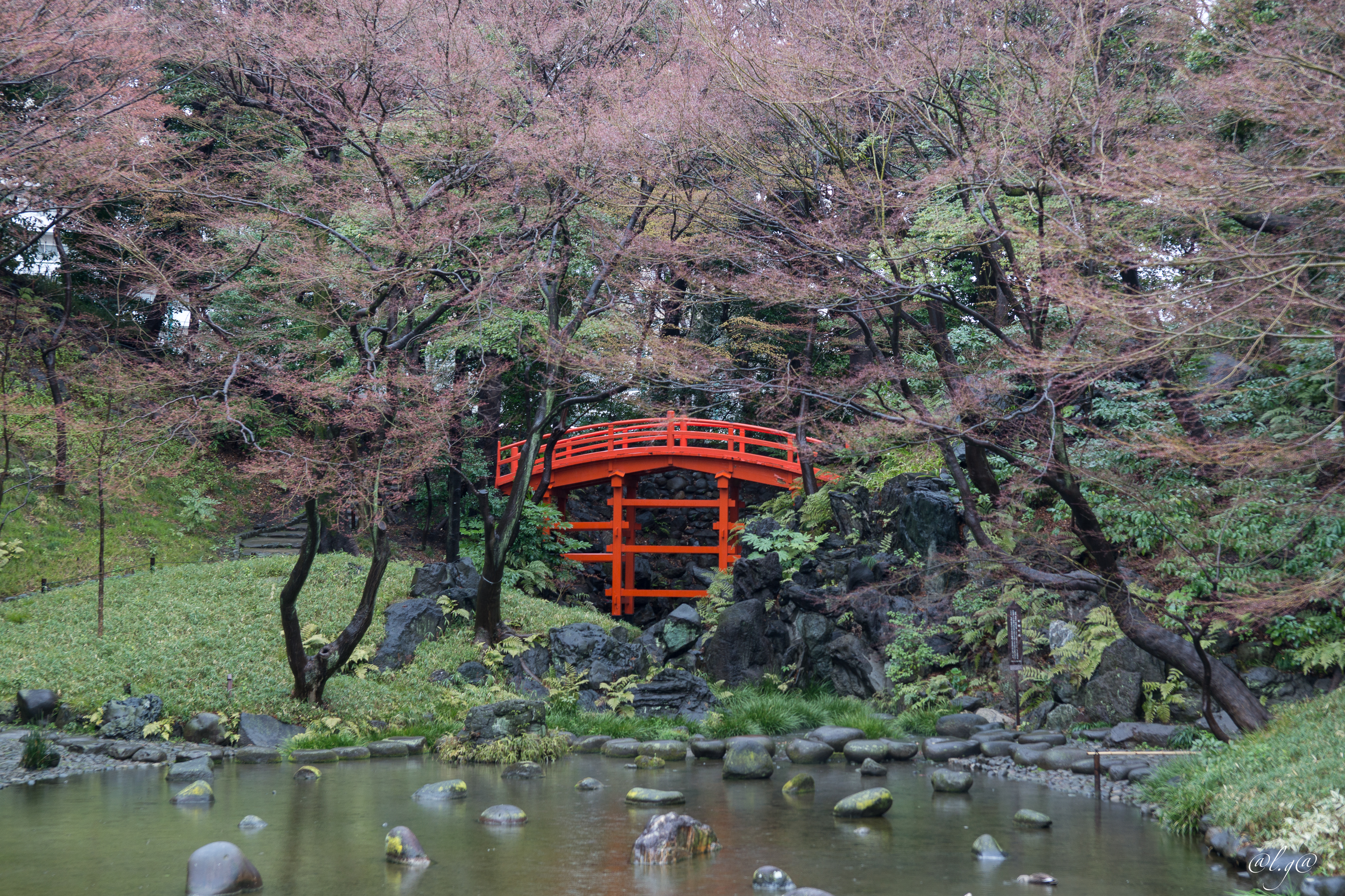 Jardin Koishikawa Korakuen :  le pont Tsuten-kyō