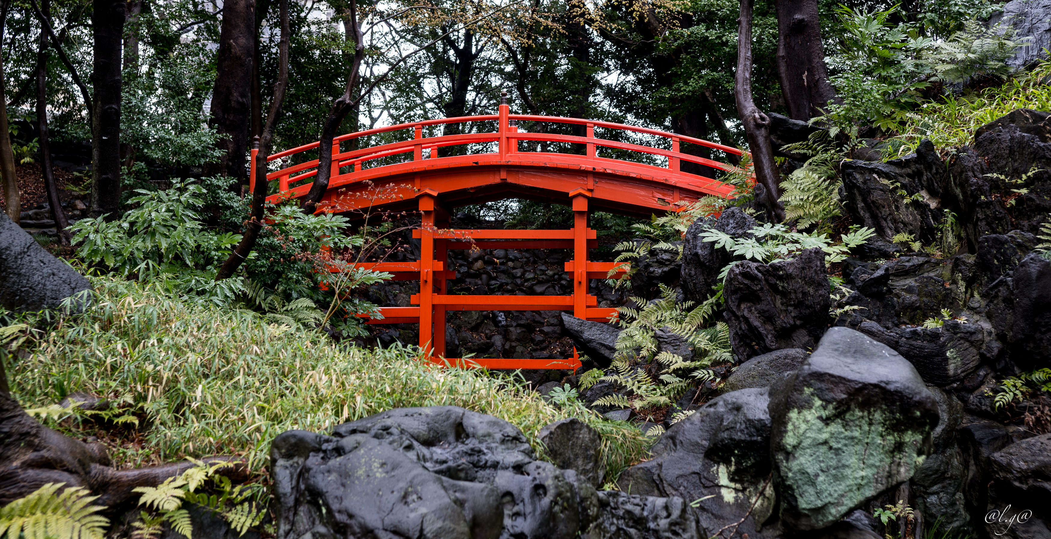Jardin Koishikawa Korakuen :  le pont Tsuten-kyō