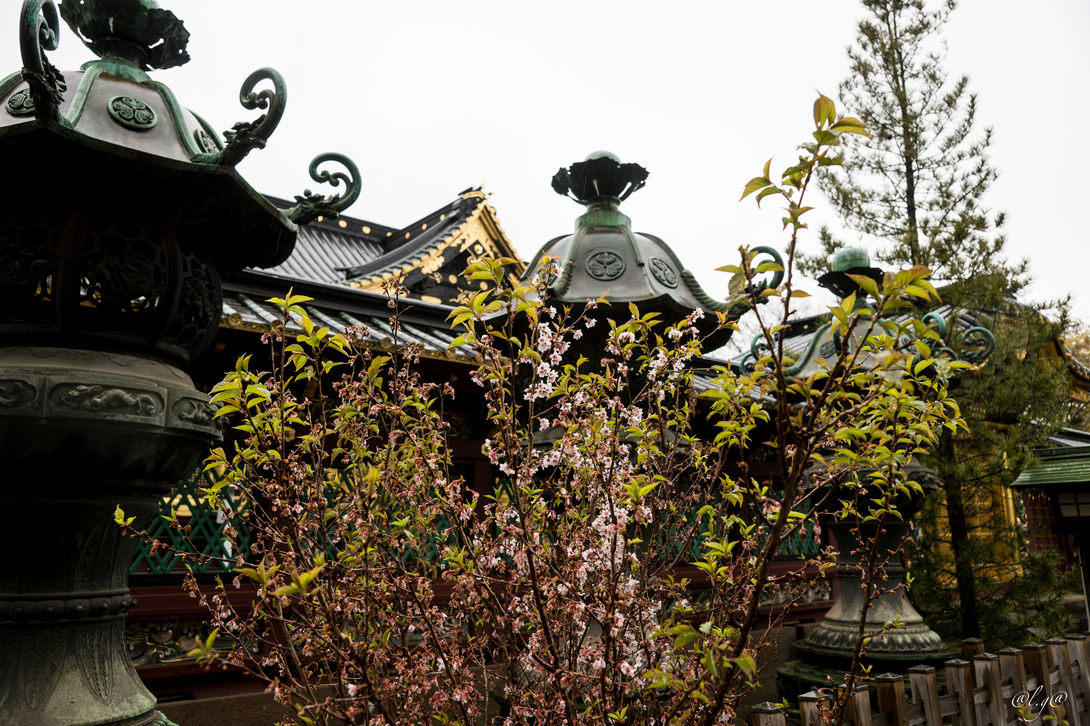 Parc d'Ueno : Sanctuaire Toshogu