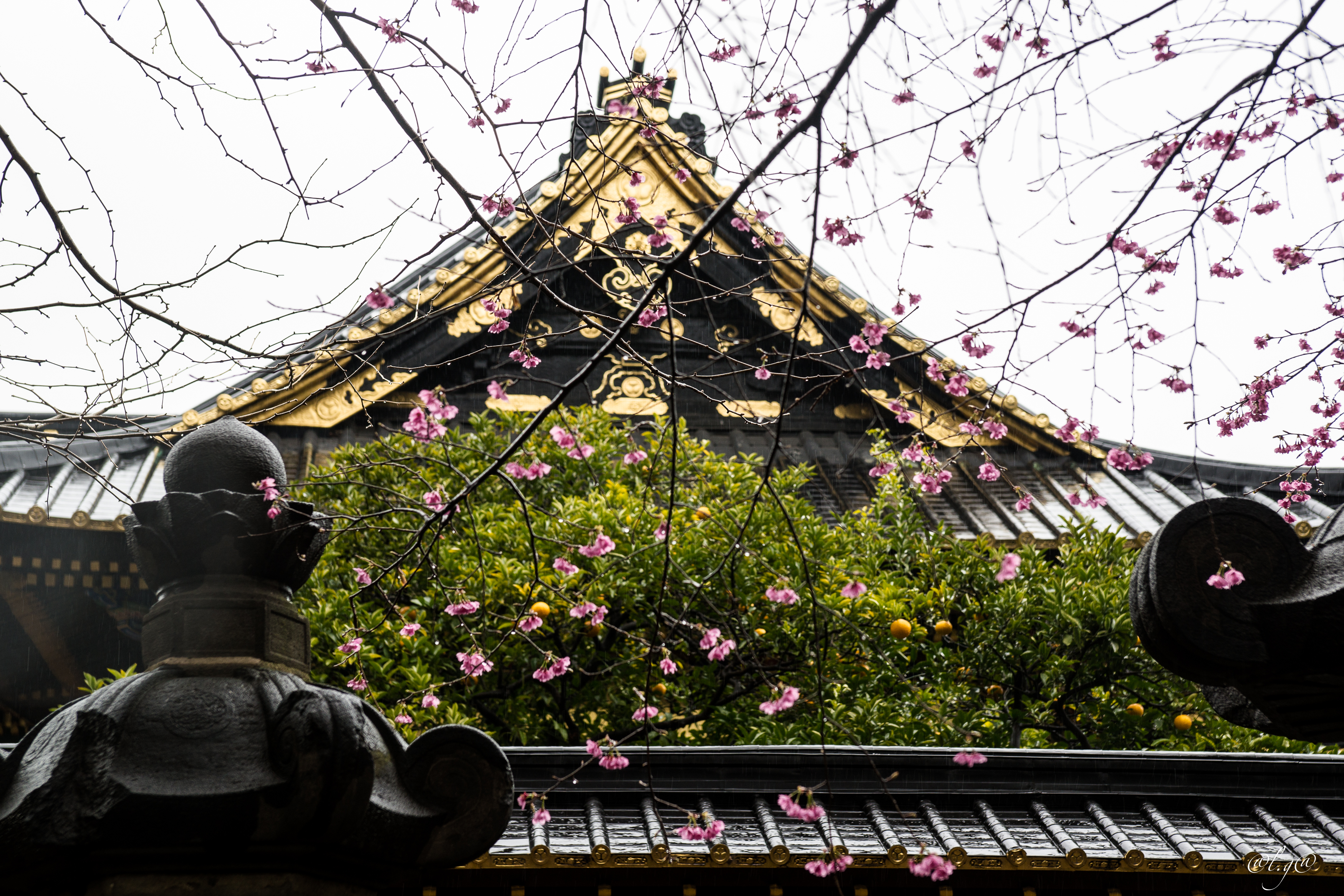 Parc d'Ueno : Sanctuaire Toshogu