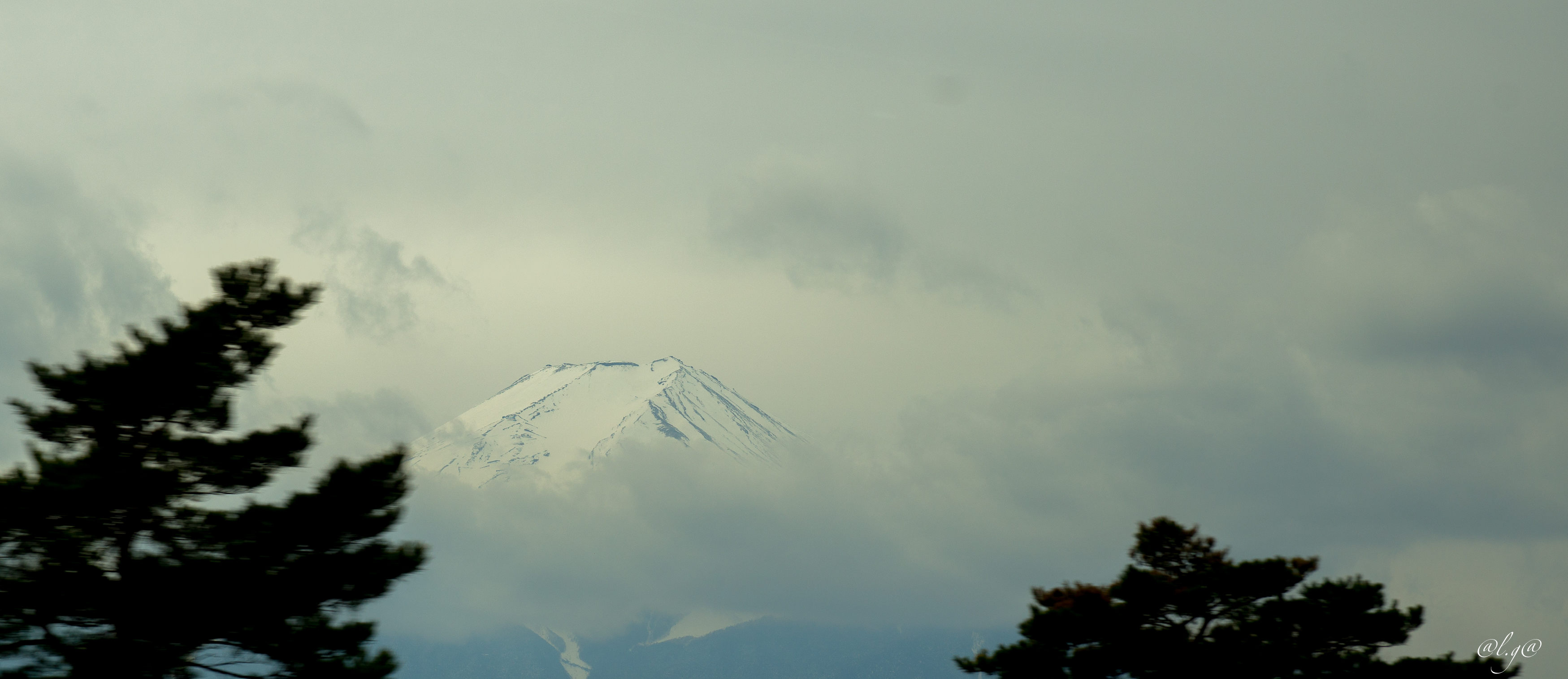 Le Mont Fuji enneigé