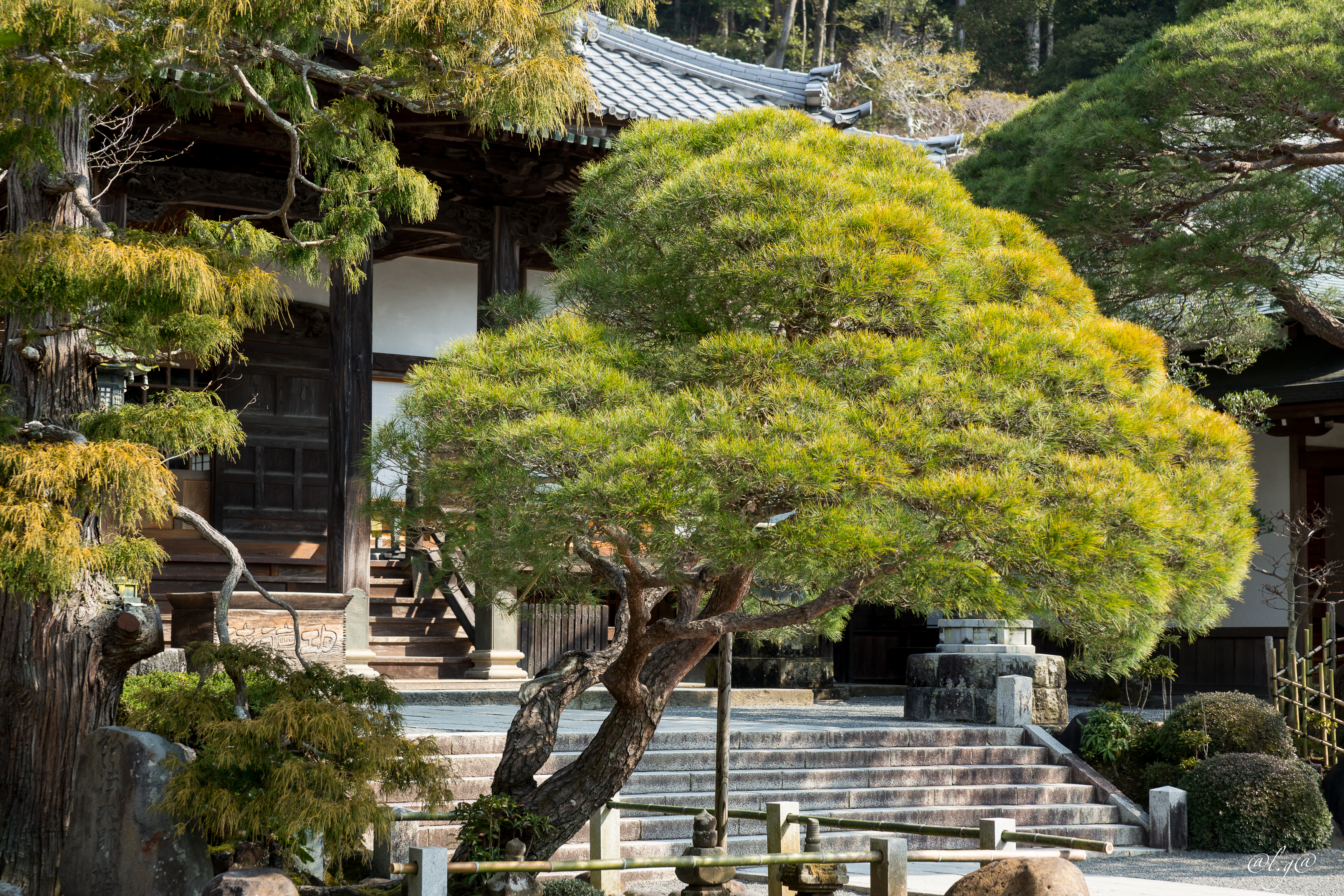 Le temple de Shuzenji