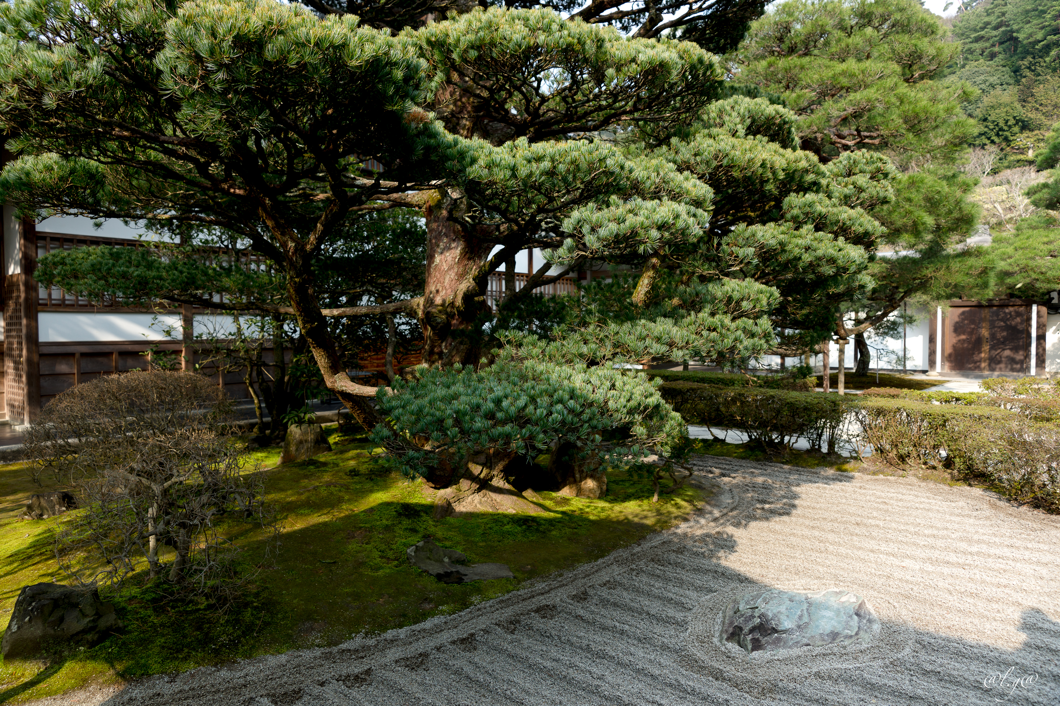 Le jardin du Ginkaku-ji