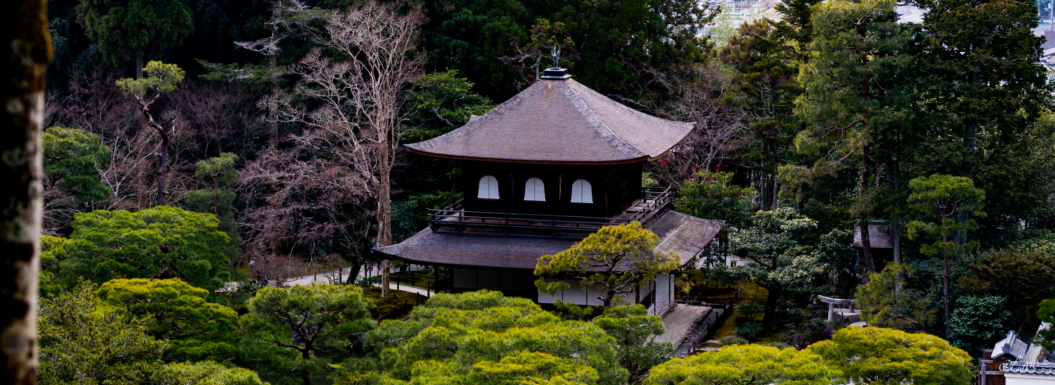 Le Ginkaku-ji ou Pavillon d'Argent
