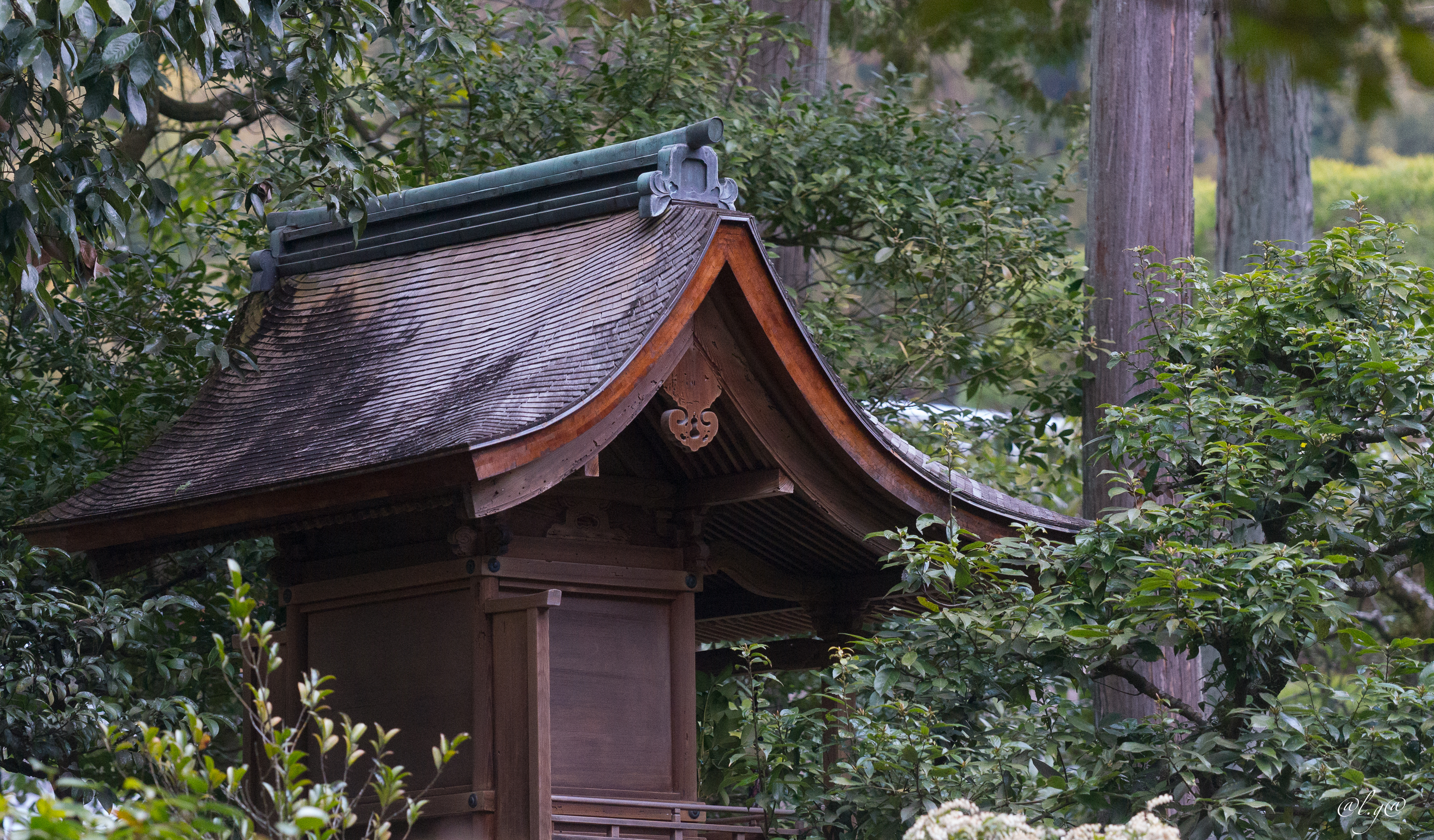 Dans le  jardin du Ginkaku-ji