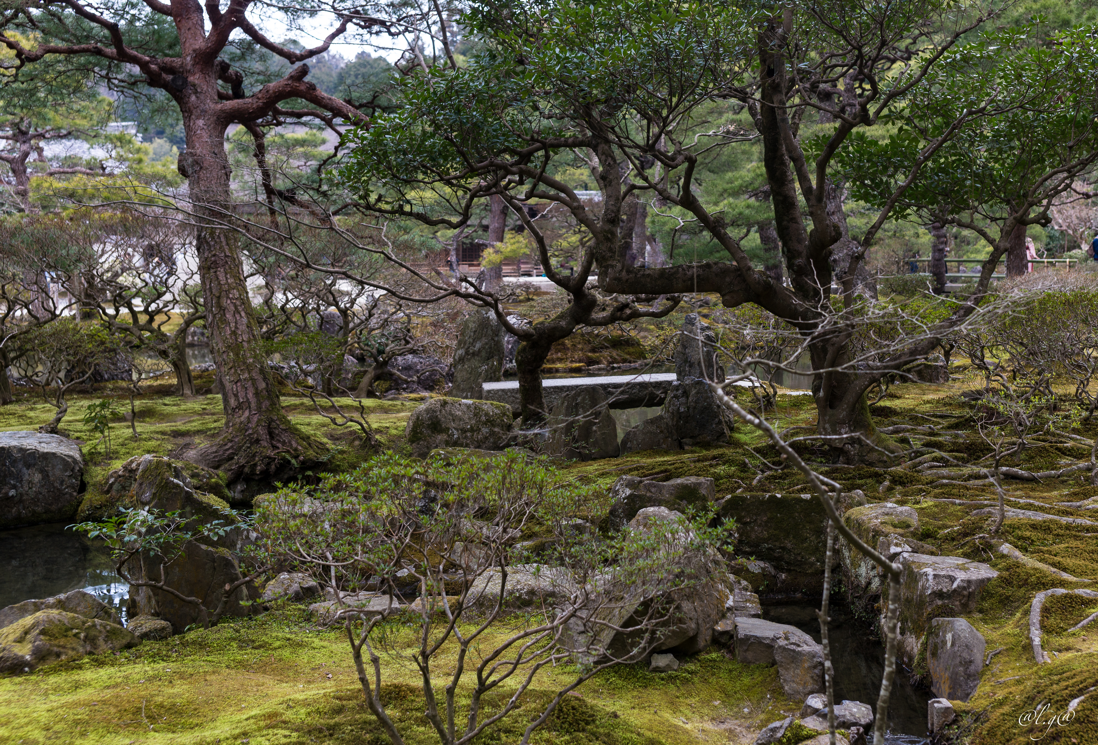 Le  jardin  de mousse du Ginkaku-ji