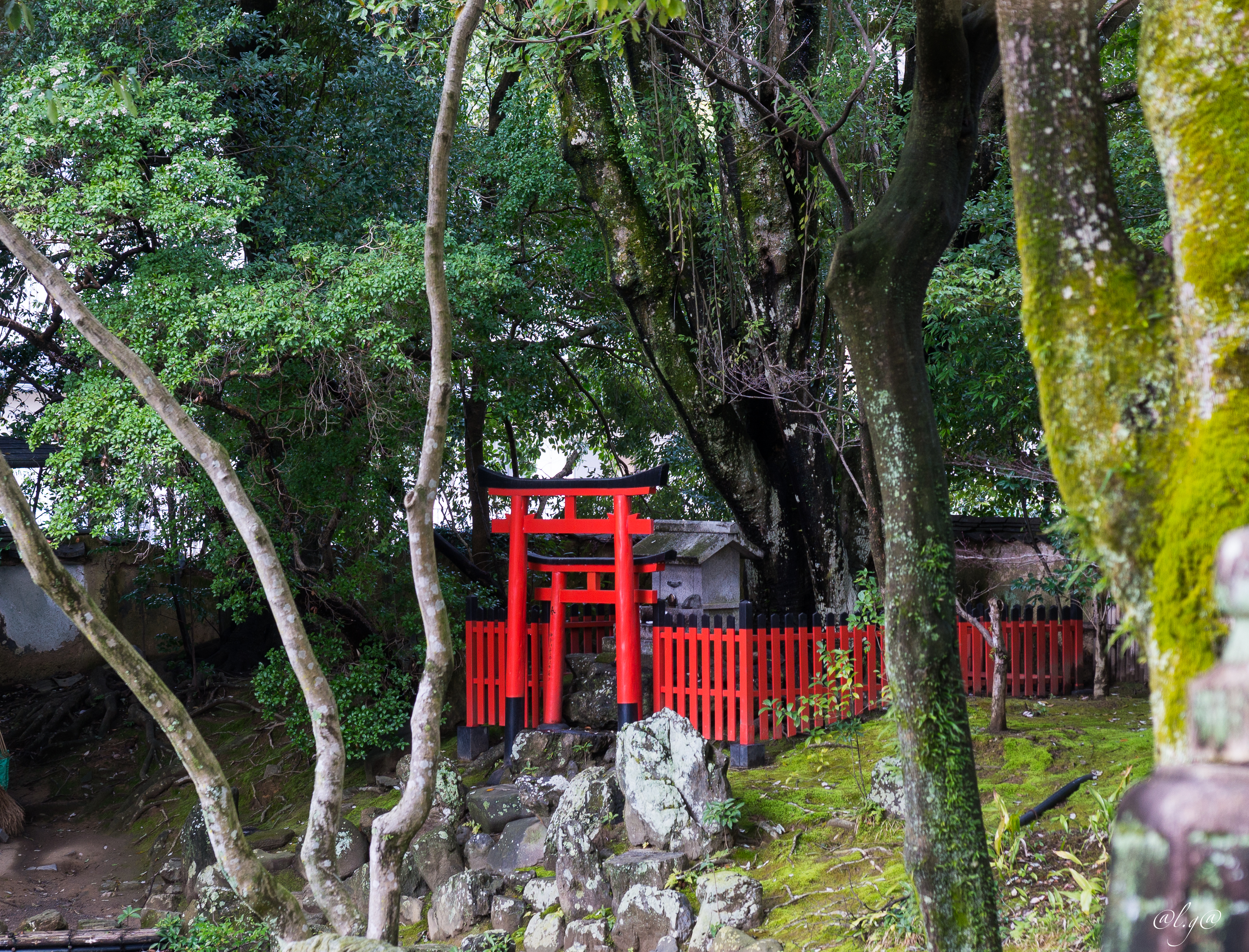 Kyoto : Le temple Daikoku-ji et son jardin