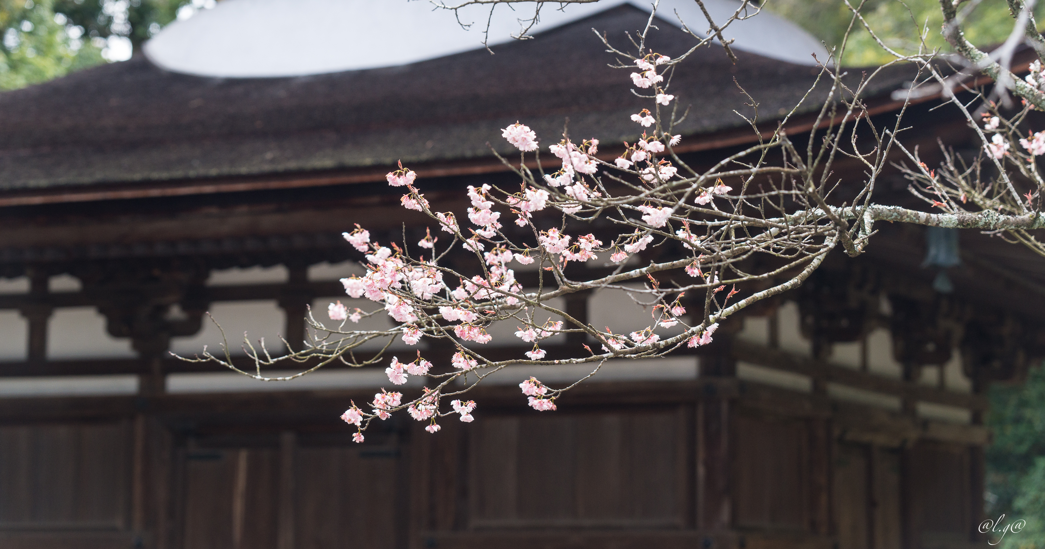 Otsu : Le Temple Ishiyama-Dera de la Montagne Rocheuse