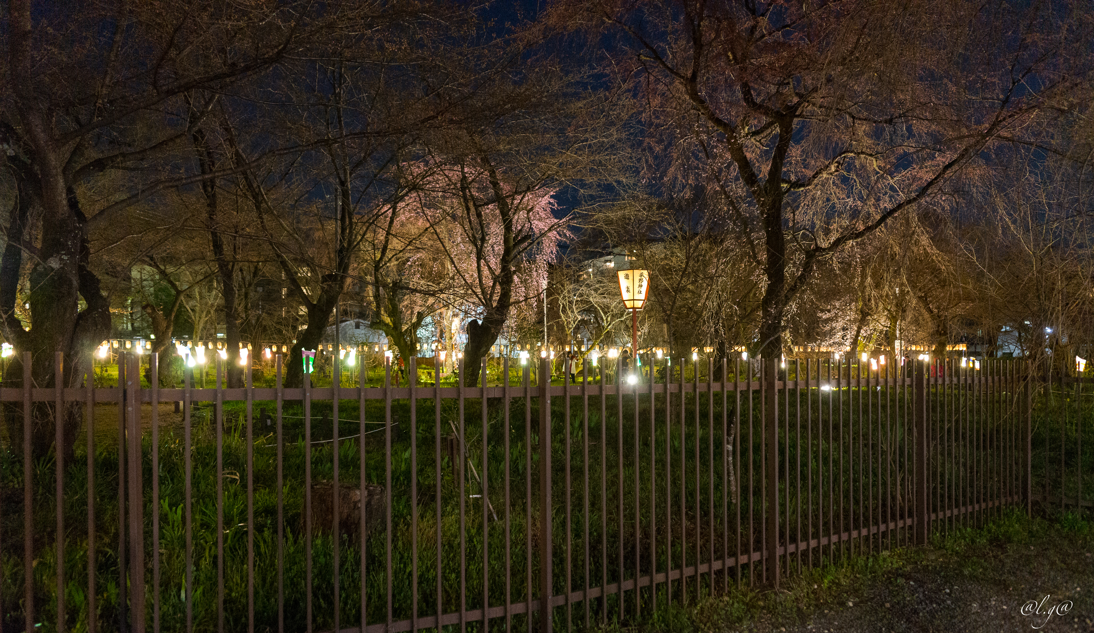 Kyoto : Le jardin illuminé du Sanctuaire Hirano Jinja