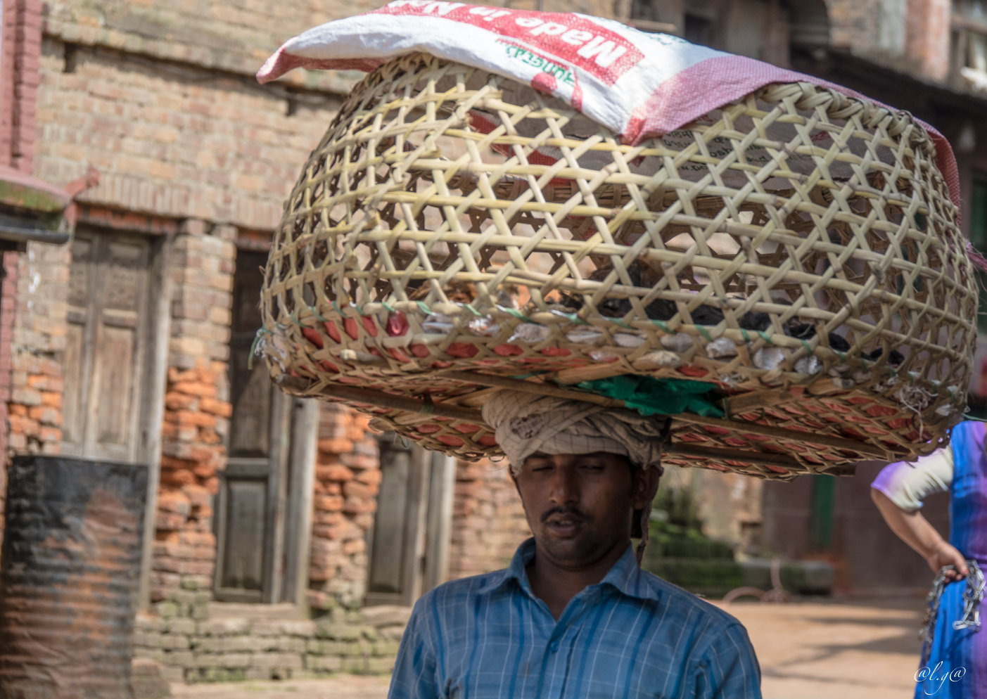 Dans les rues de Bhaktapur : Transports de volailles.