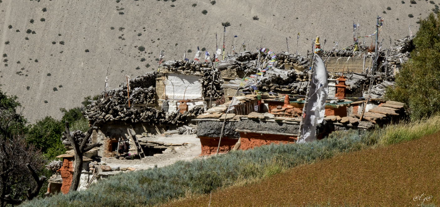 Village de Tangbe (3000m) : Vue sur les toits