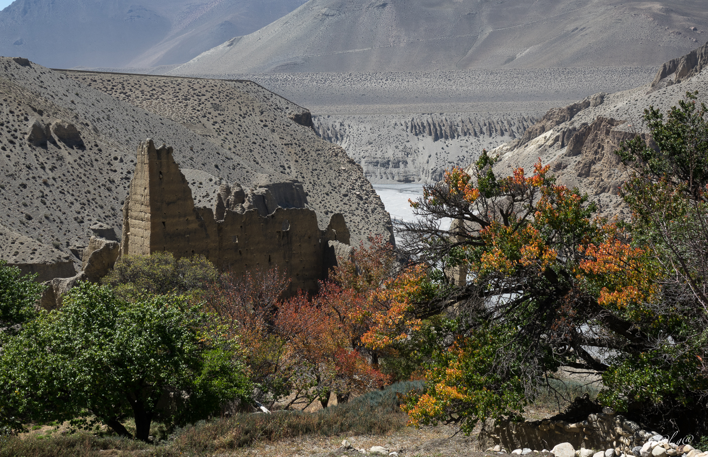 Village de Tangbe (3000m) : Forteresse en ruine