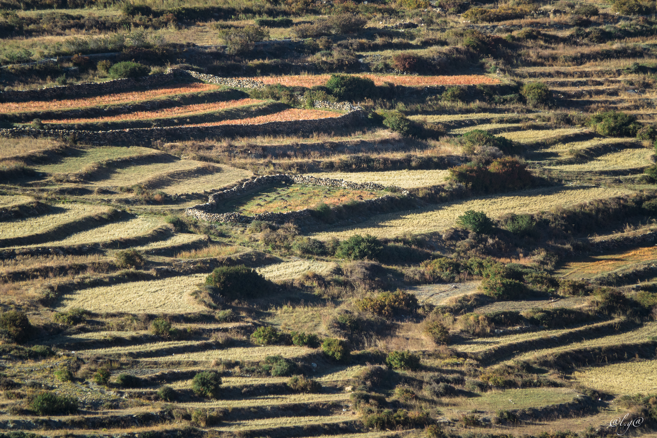 Le village de Dhakmar au pied des falaises rouges.