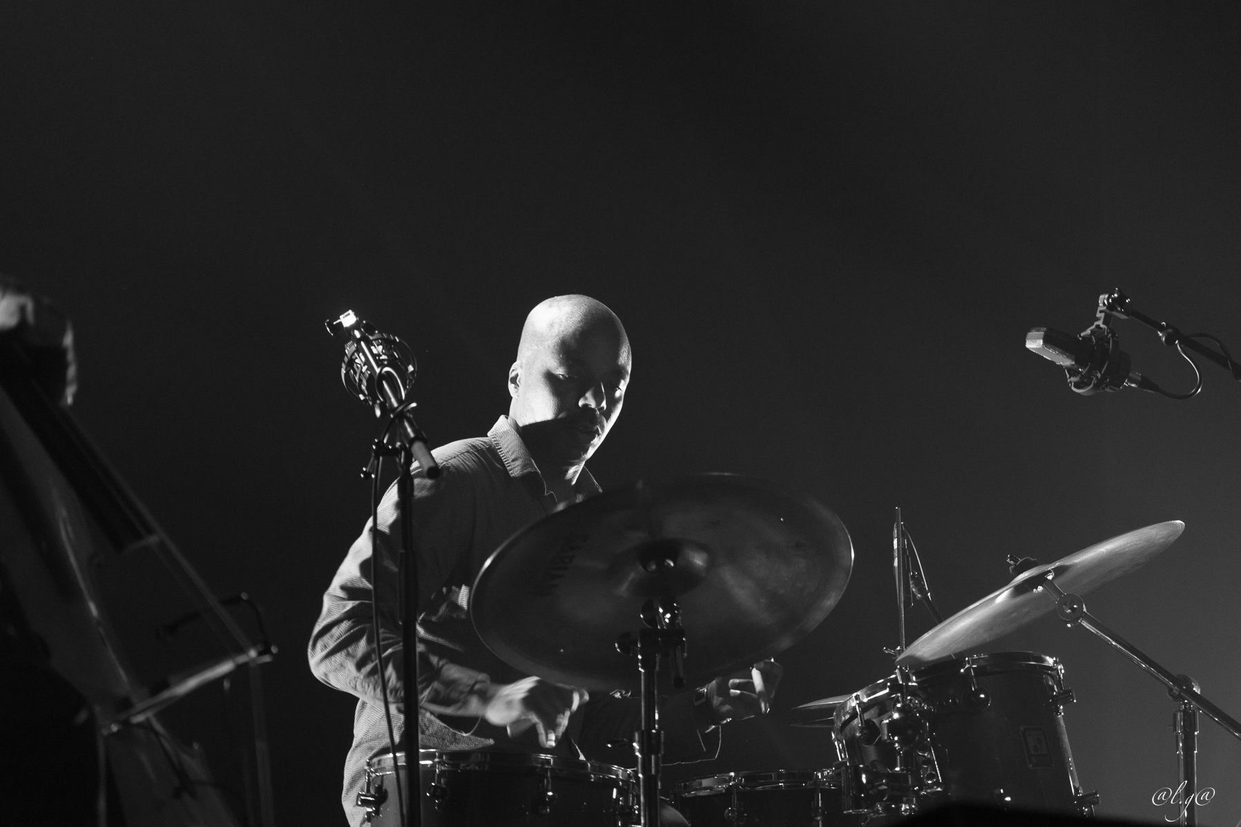 Musique : Marc Ribot Trio - I'm Confessin' - Album Live at Village Vanguard (2014)